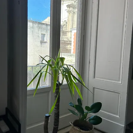 Appartement Bivu *